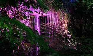 ナイトZOO～光りあふれるナイトサファリ～ 植物園