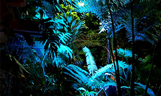 ナイトZOO～光りあふれるナイトサファリ～ 植物園
